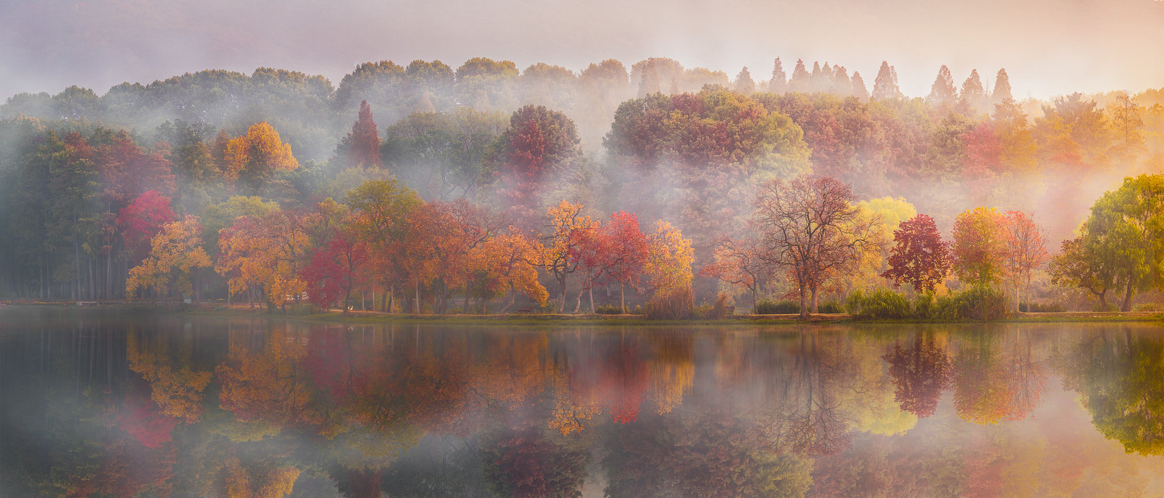 植物_南京前湖秋色