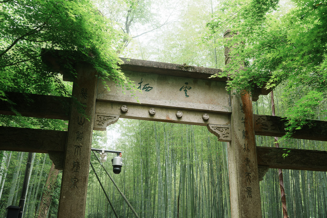 静物小景_杭州云栖竹径-1