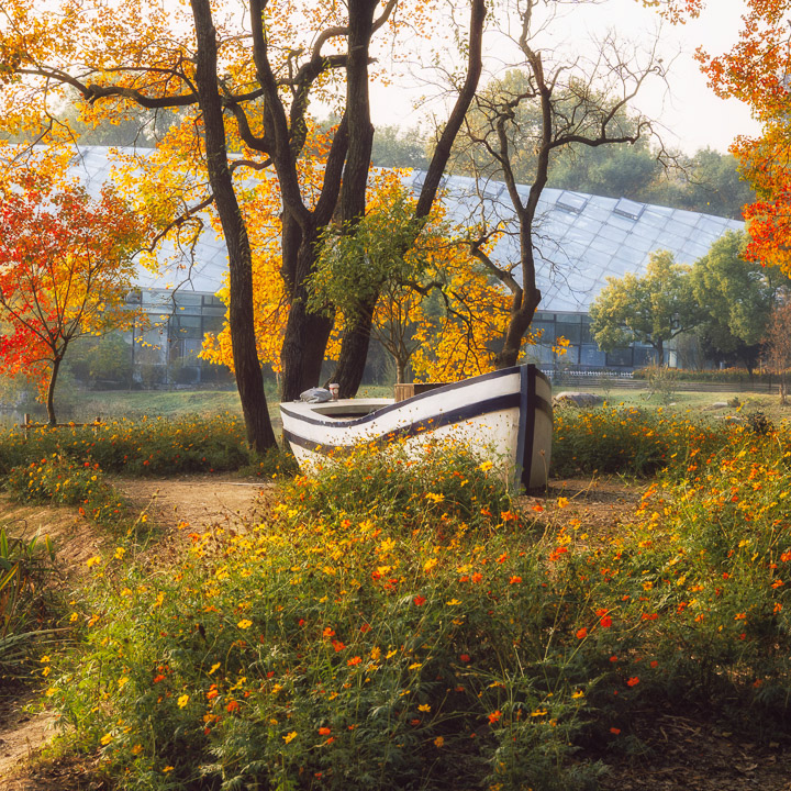 静物小景_秋南京植物园小船